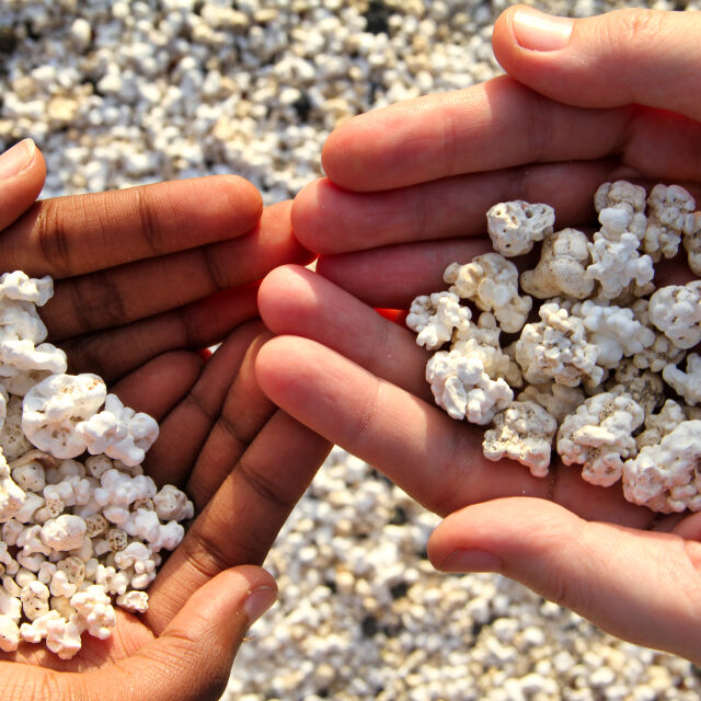 Колко струва да почивате на плажа с камъни като пуканки (ВИДЕО)