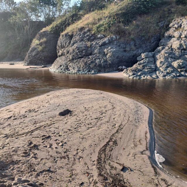Замърсяване на морската вода след преливане на река Караагач: Има ли човешка намеса?