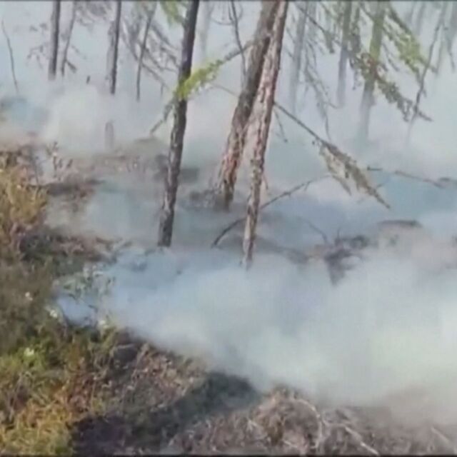  Северният полярен кръг гори: Пожарите там стават все по-чести 