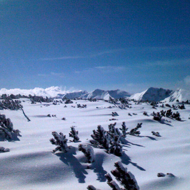  Под снежната маса: Какви са препоръките на планинските спасители при лавини? 
