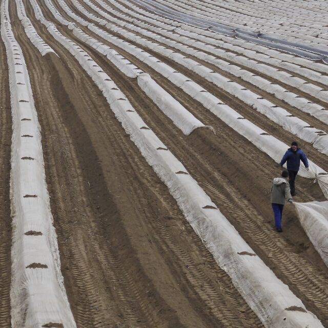 Заради COVID-19: Cезонни работници, от чиято реколта се изхранва Европа, блокирани на границата