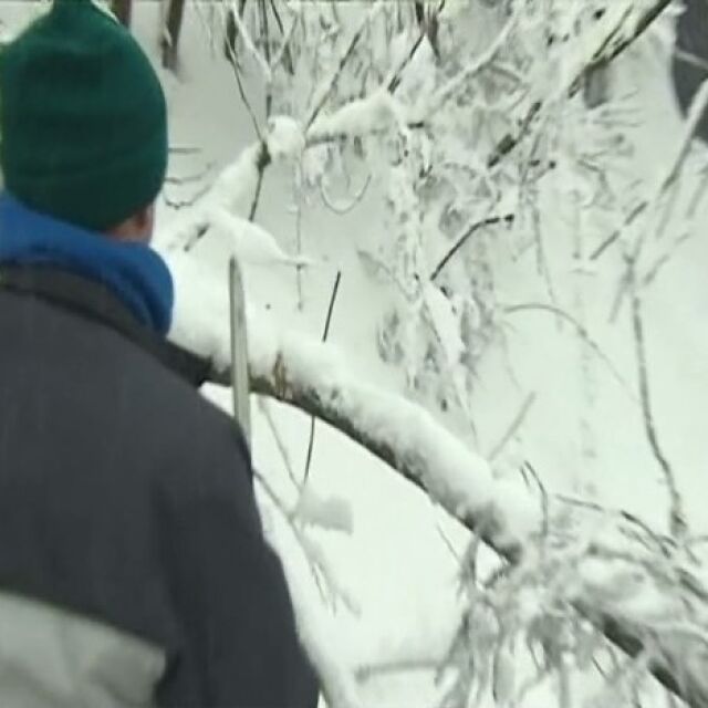 Доброволци се включиха в борбата със снежното бедствие