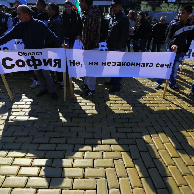 Протест на износителите на дървесина пред парламента (СНИМКИ)