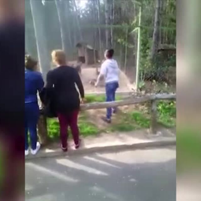 Необяснима агресия към животни в старозагорския зоопарк