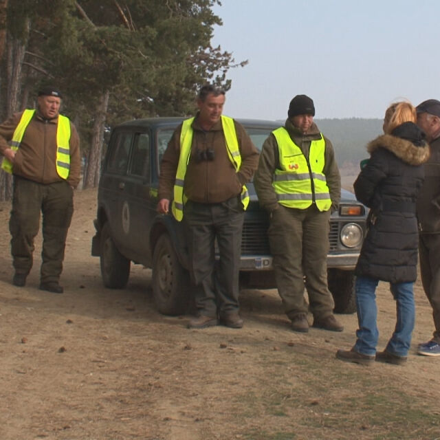 За 10 дни има 4 горски, пострадали при нападения в Панагюрско