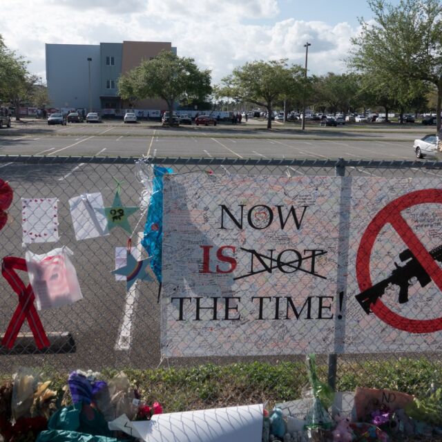 Местният сенат на Флорида одобри засилване на контрола върху оръжията