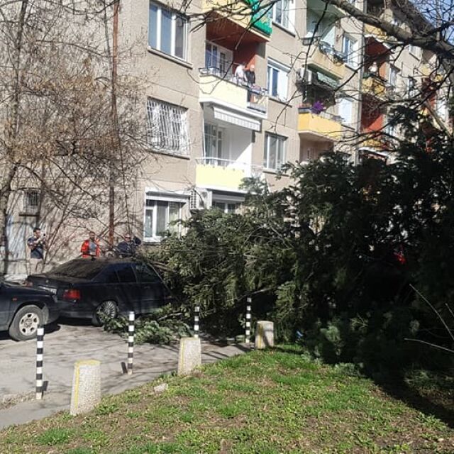 Силният вятър нанесе материални щети в столицата (СНИМКИ)