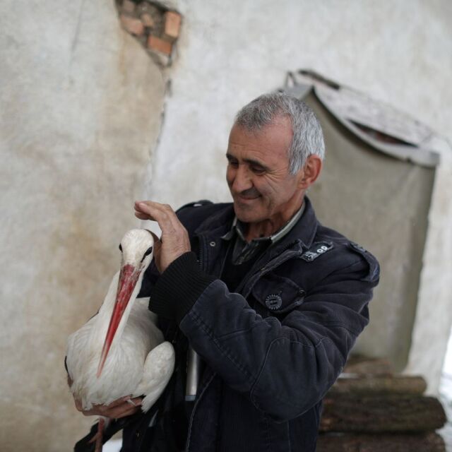 „Гардиън”: Българите спасяват премръзнали щъркели