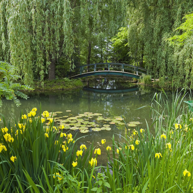 Градините на Клод Моне в Живерни, вдъхновили известните картини на художника