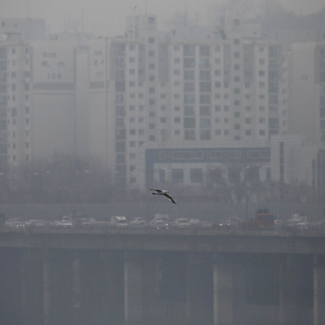 Южнокорейците се борят срещу замърсяването със... свинска мас (ВИДЕО)