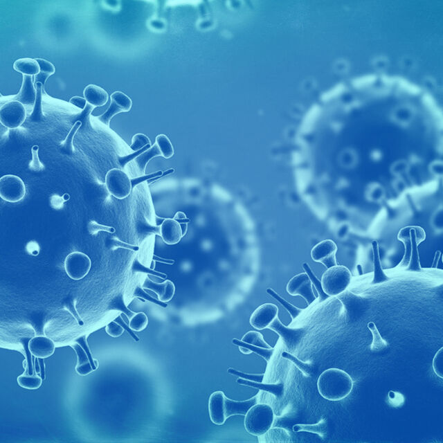 Общо 23 са потвърдените случаи на коронавирус в България (ОБЗОР)