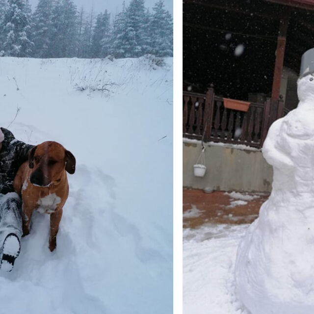 Шампиони под карантина: Миглена Селишка, кучето Рики и снежният Дан Колов (ВИДЕО)