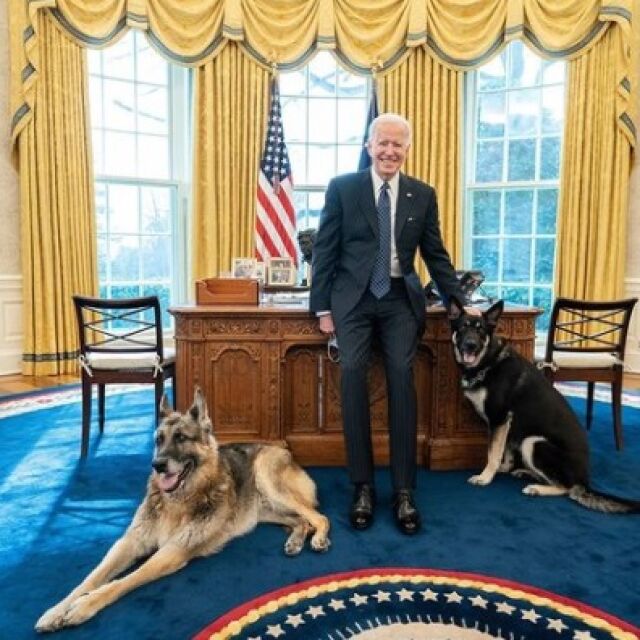 Кучетата на Джо Байдън отведени от Белия дом след инцидент с охраната