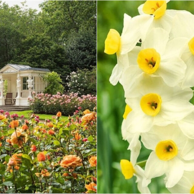 10 тайни, които се крият в градините на кралица Елизабет в Бъкингам
