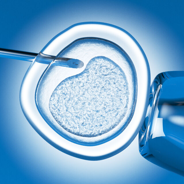 Учени създадоха човешки ембрион от кожни клетки