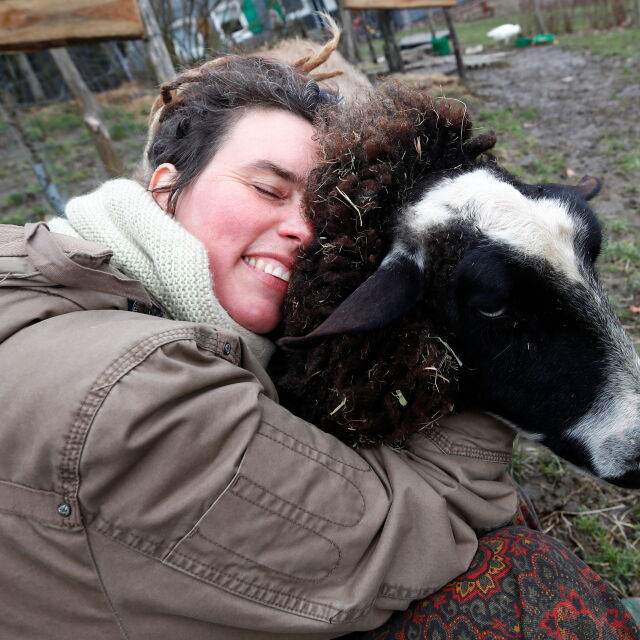 Лекарство срещу самотата по време на пандемия: Германци прегръщат овце (СНИМКИ)