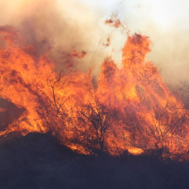 За едно денонощие: Потушени са 170 пожара в България