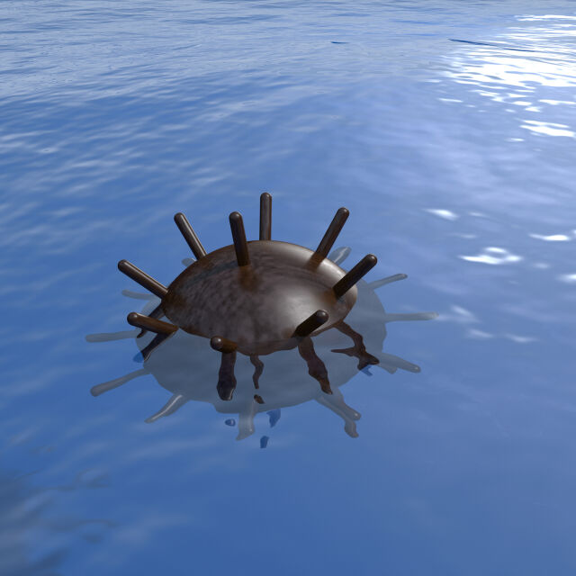  Военноморските сили правят оглед по сигнал за мина в Черно море 