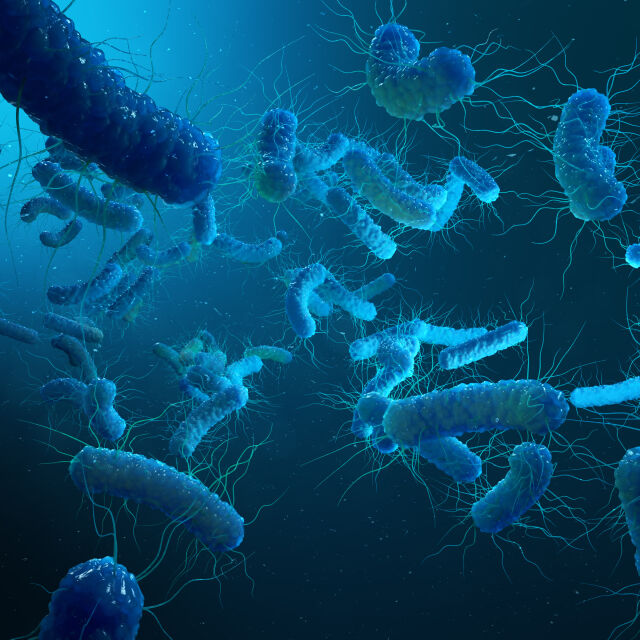 Ръст на случаите на нелечима бактериална инфекция в ЕС и САЩ