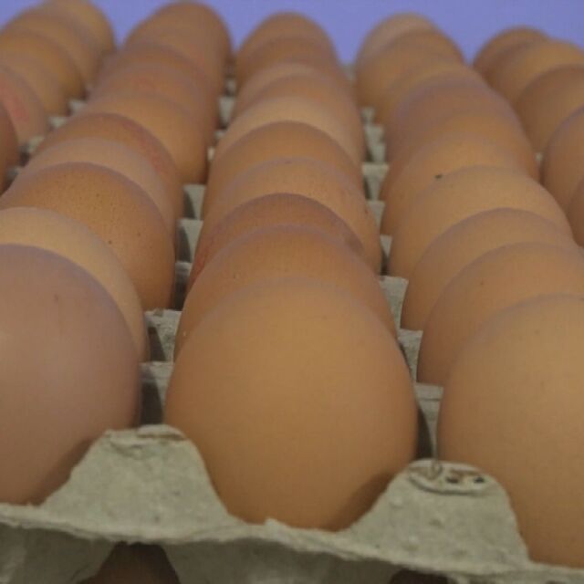 80% скок в цената на яйцата за последните две години