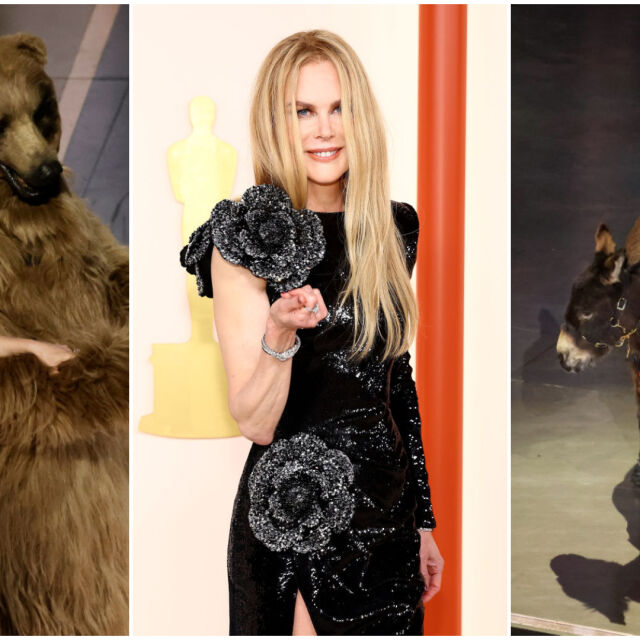Магаренце, рози и танцуваща мечка - най-любопитното от Оскарите (СНИМКИ)