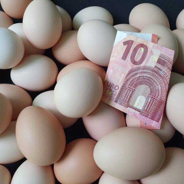 Защо вносът на яйца от България за Израел е бил спрян за година?