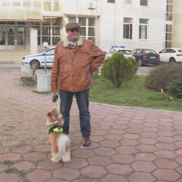 Агресивен мъж напада собственици на кучета в Пловдив