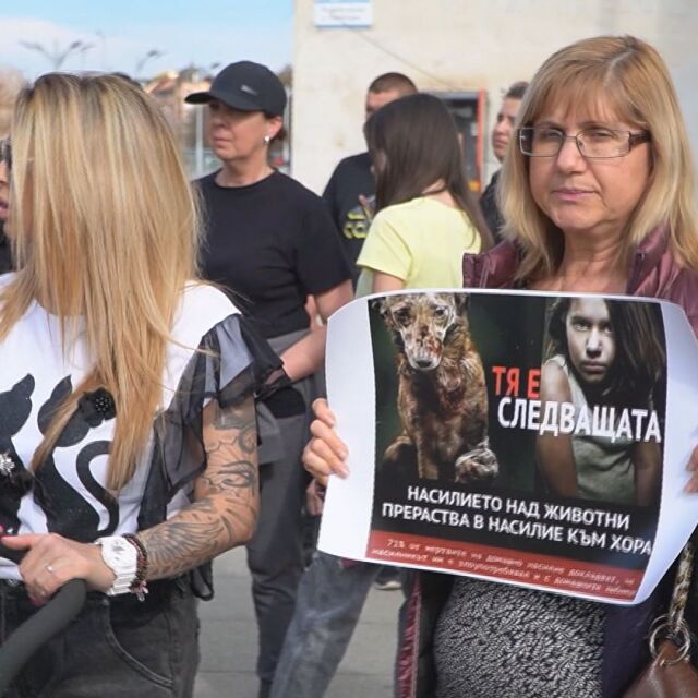 Национален протест по случая „Мечо“ и насилието над животни