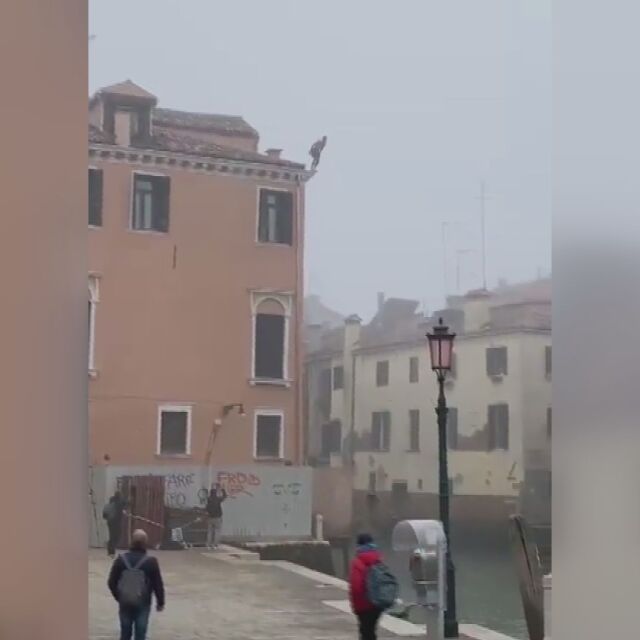 "Удостоверение за глупост": Мъж скочи от триетажна сграда в канал във Венеция (ВИДЕО)