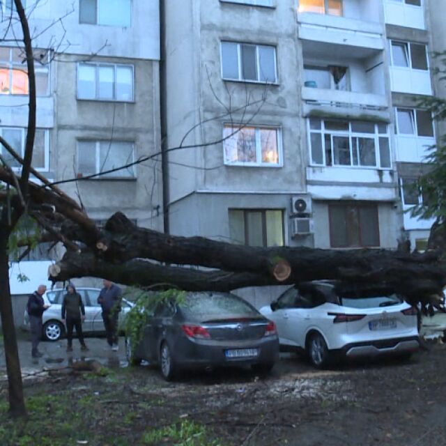 След като клон падна върху мъж в Пловдив заради вятъра: Какво е състоянието му?