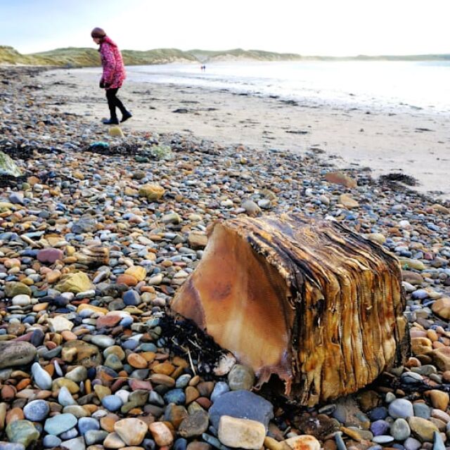  Мистериозен пакет, изхвърлен на плаж в Шотландия, може да е от 