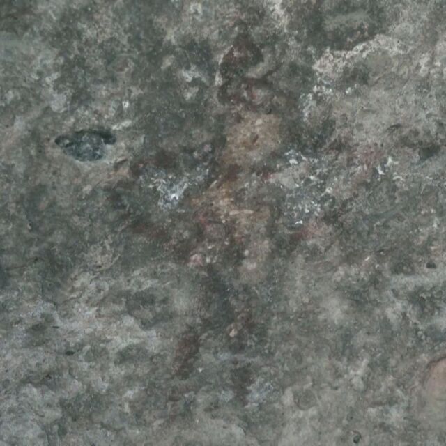 Рисунките в пещера в Патагония разкриха нов хоризонт пред археолози (ВИДЕО)