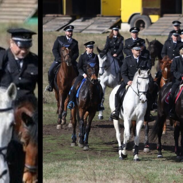 За Тодоровден: История за любовта и връзката между полицай и неговия кон