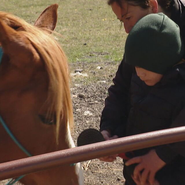 Лечение чрез конна терапия: Как животните успокояват децата и им помагат двигателно
