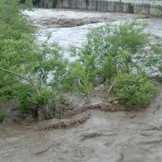  Евакуация във Видинско след приливна вълна и преляла река 