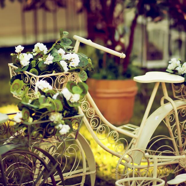 Велосипедът – част от декора на цветната градина