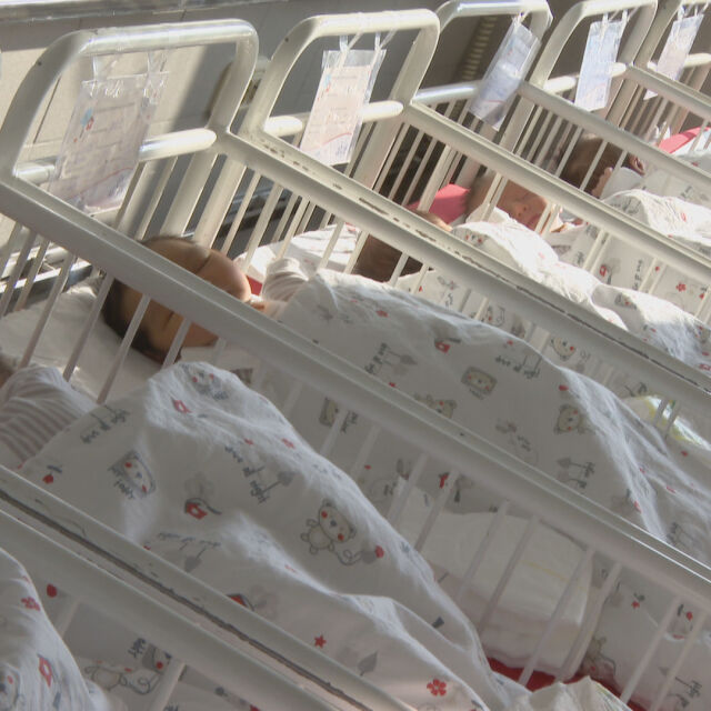 8% срив на раждаемостта в България за 1 година
