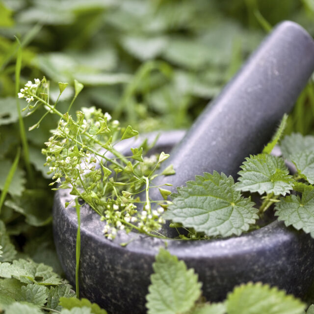 Вълшебна копривена смес за здрави растения в градината