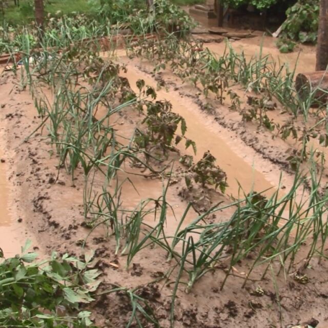 Пороен дъжд наводни врачанското село Лиляче