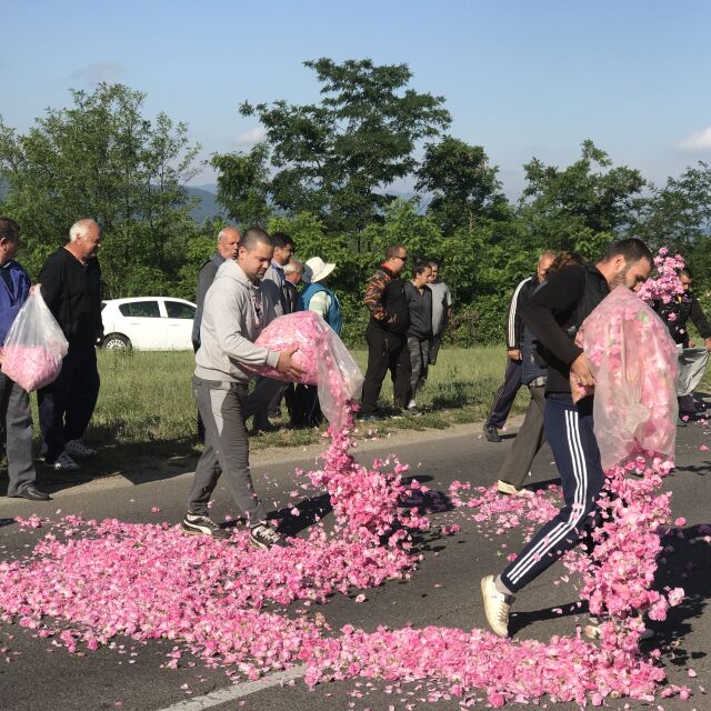 Розопроизводители отново излязоха на протест