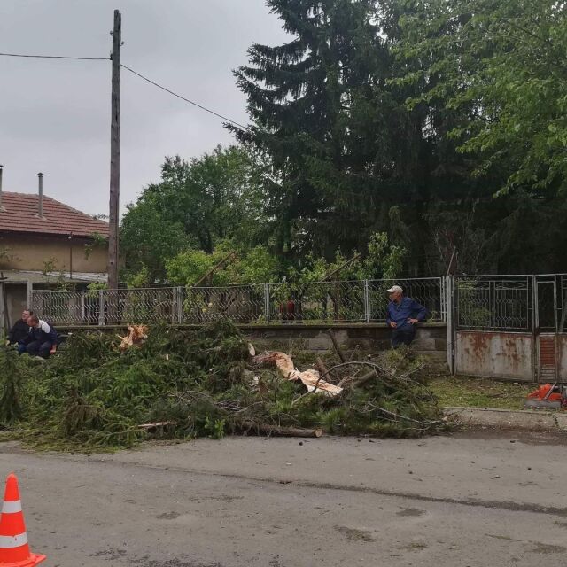 Как гласуват хората от село Морава, което беше опустошено от бури и градушки