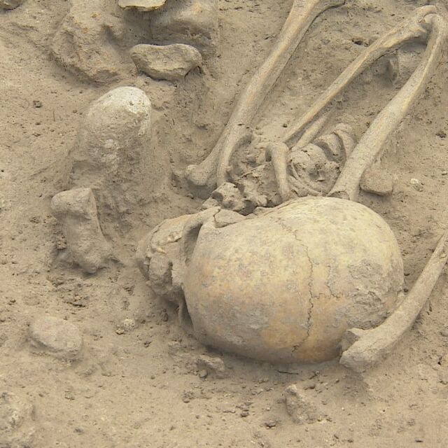 Скелетът от Слатина: Започна преместването на ценната археологическа находка