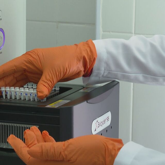 Предприятие в Доспат организира PCR тестване за своите служители