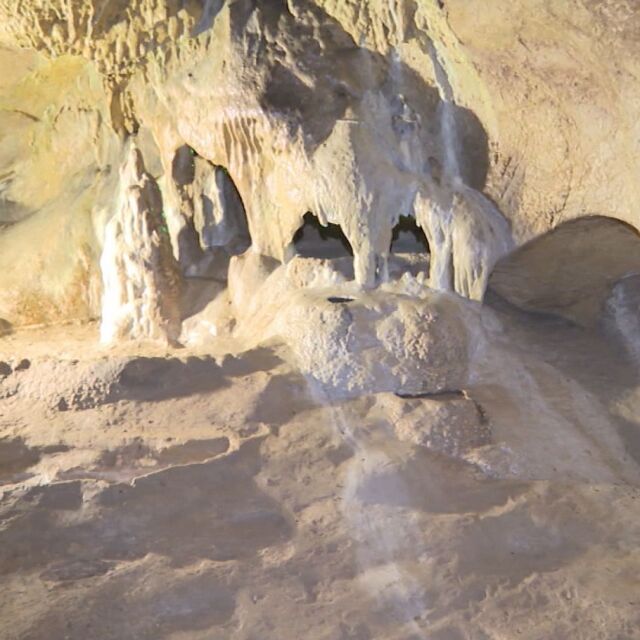 Първите хомо сапиенс в Европа са обитавали пещерата "Бачо Киро" 