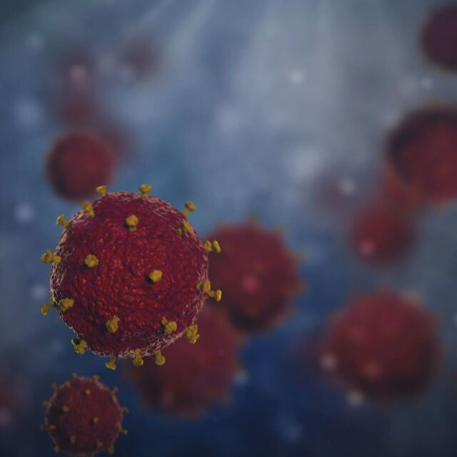 Проучване: Възможно е повече хора да имат имунитет към COVID-19, а тестовете да не го отчитат