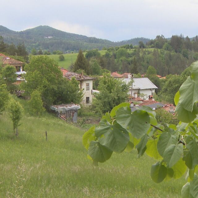 „Изгубени във времето“: Трима успели млади хора се заселиха в безлюдното село Габрица
