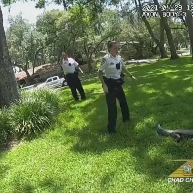 Полицаи гониха алигатор в двора на къща във Флорида (ВИДЕО)