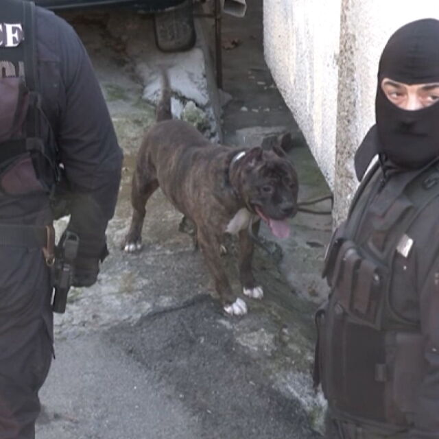 Девет души са задържани при спецакция в Сливен