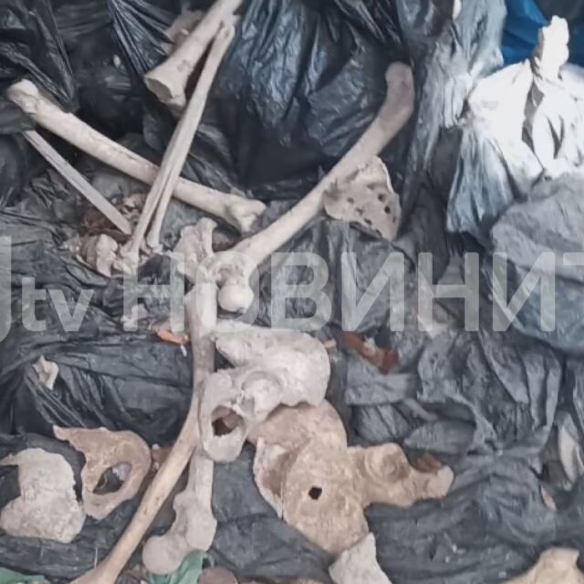 От „Аз, репортерът“: Зловеща находка в Созопол – купища човешки кости в изоставена сграда (ВИДЕО)