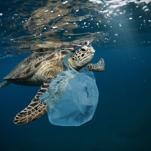 Повторна употреба и рециклиране: Можем да намалим замърсяването с пластмаса с 80% до 2040 г.